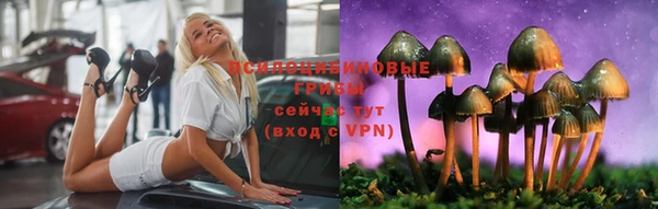 твердый Алзамай