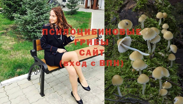 герыч Абаза