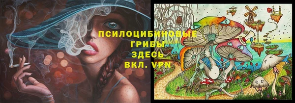 МДПВ Медногорск