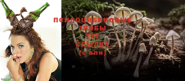 эйфоретик Алексеевка