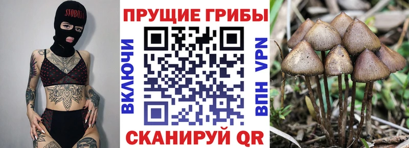 Галлюциногенные грибы MAGIC MUSHROOMS Александров